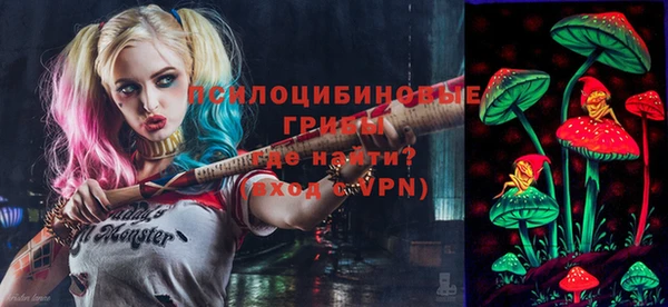 синтетический гашиш Алексин