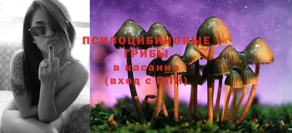 синтетический гашиш Алексин