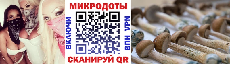 Галлюциногенные грибы GOLDEN TEACHER купить сайты Ковылкино